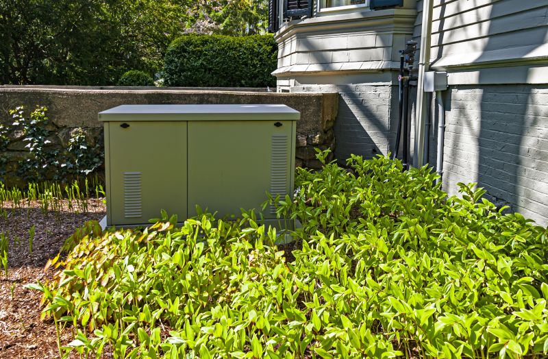 Residential Backup Generator System